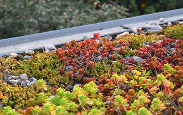 the cost of Longtown green roof installation