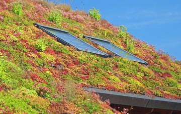 Longtown living roof systems