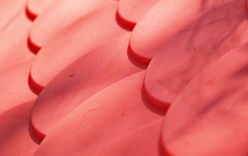 Longtown plastic roof costs