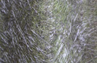 Longtown fibreglass roof work